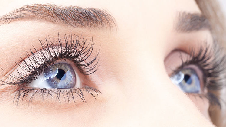 Top 10 Foods For Your Eye Health