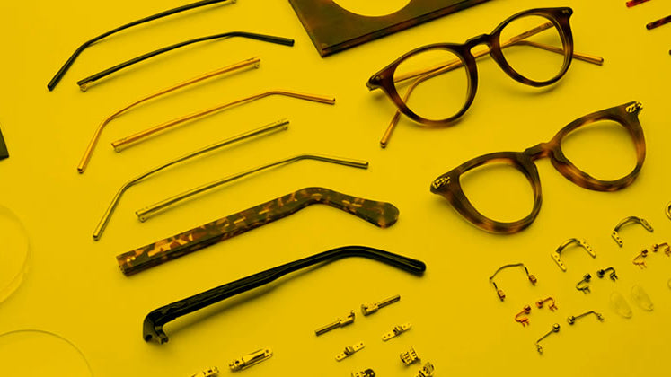 Sunglasses and Eyeglasses Anatomy